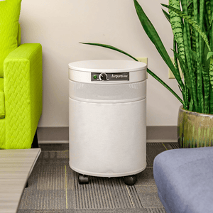 Airpura C600 Air Purifier for Chemical & Gas Abatement - Fitness Recovery Lab