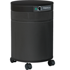 Airpura C600 DLX Air Purifier for VOCs & Gas Abatement - Fitness Recovery Lab