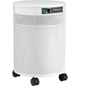 Airpura C600 DLX Air Purifier for VOCs & Gas Abatement - Fitness Recovery Lab