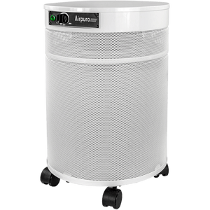 Airpura G600 Odor-Free Air Purifier for Chemically Sensitive - Fitness Recovery Lab